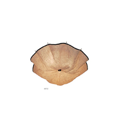 FLOS Celestia Ceiling Lamp ����ɡ���������� CGX697